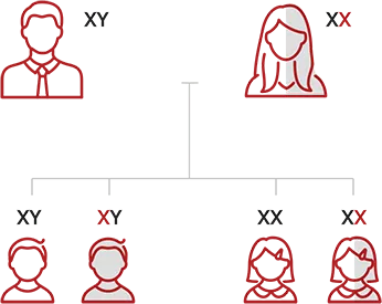 Diagram about how hemophilia A genetics work.