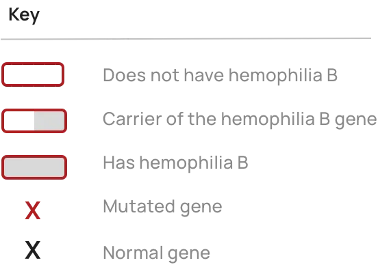 Key of the diagram about how hemophilia B genetics work.